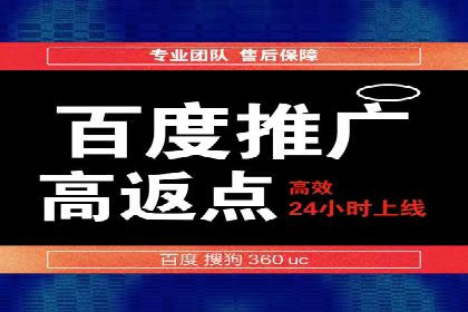 某企业SEM广告投放的ROI提升策略及效果展示